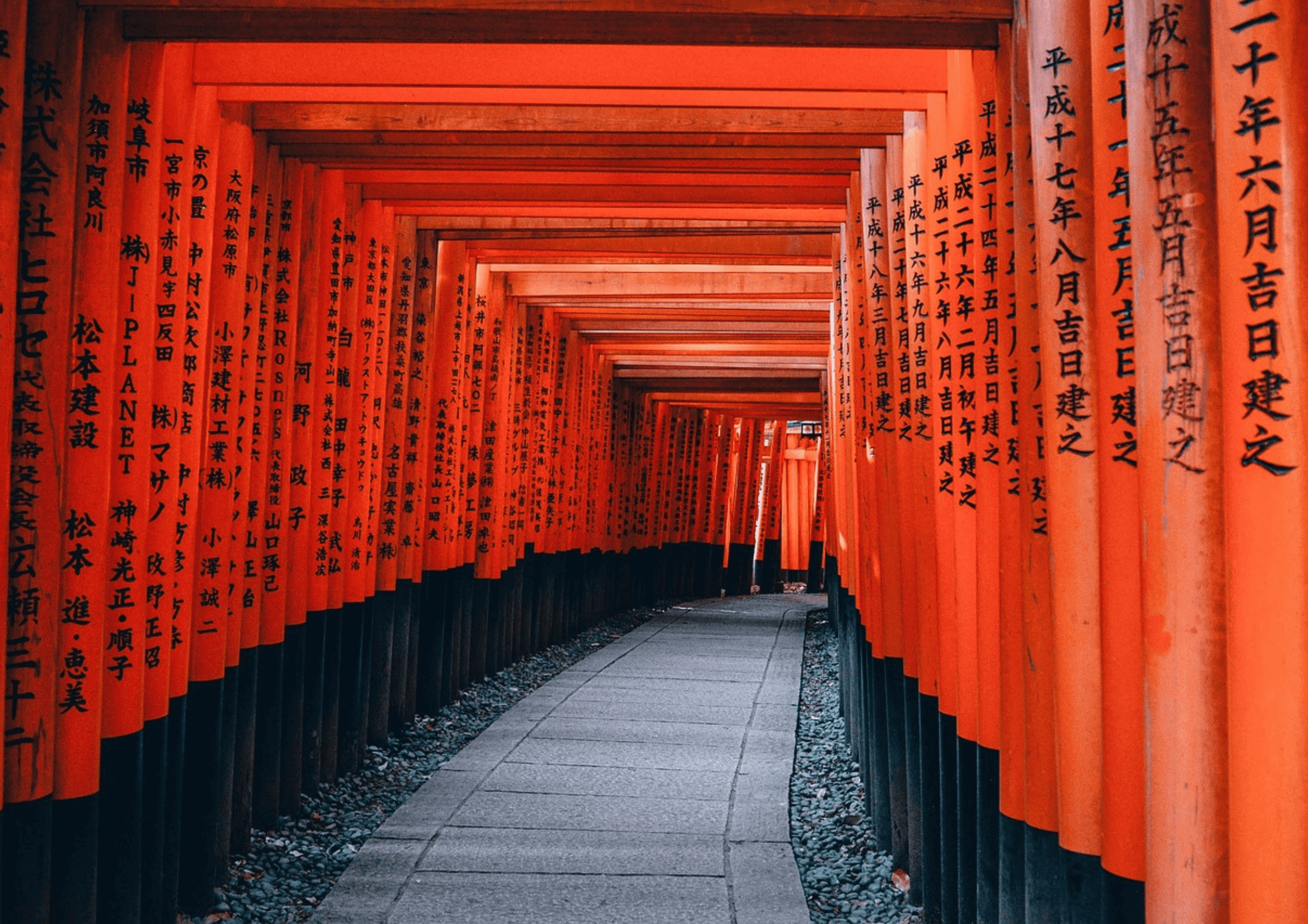 10-Day Japan, South Korea & North Korea - Image 4