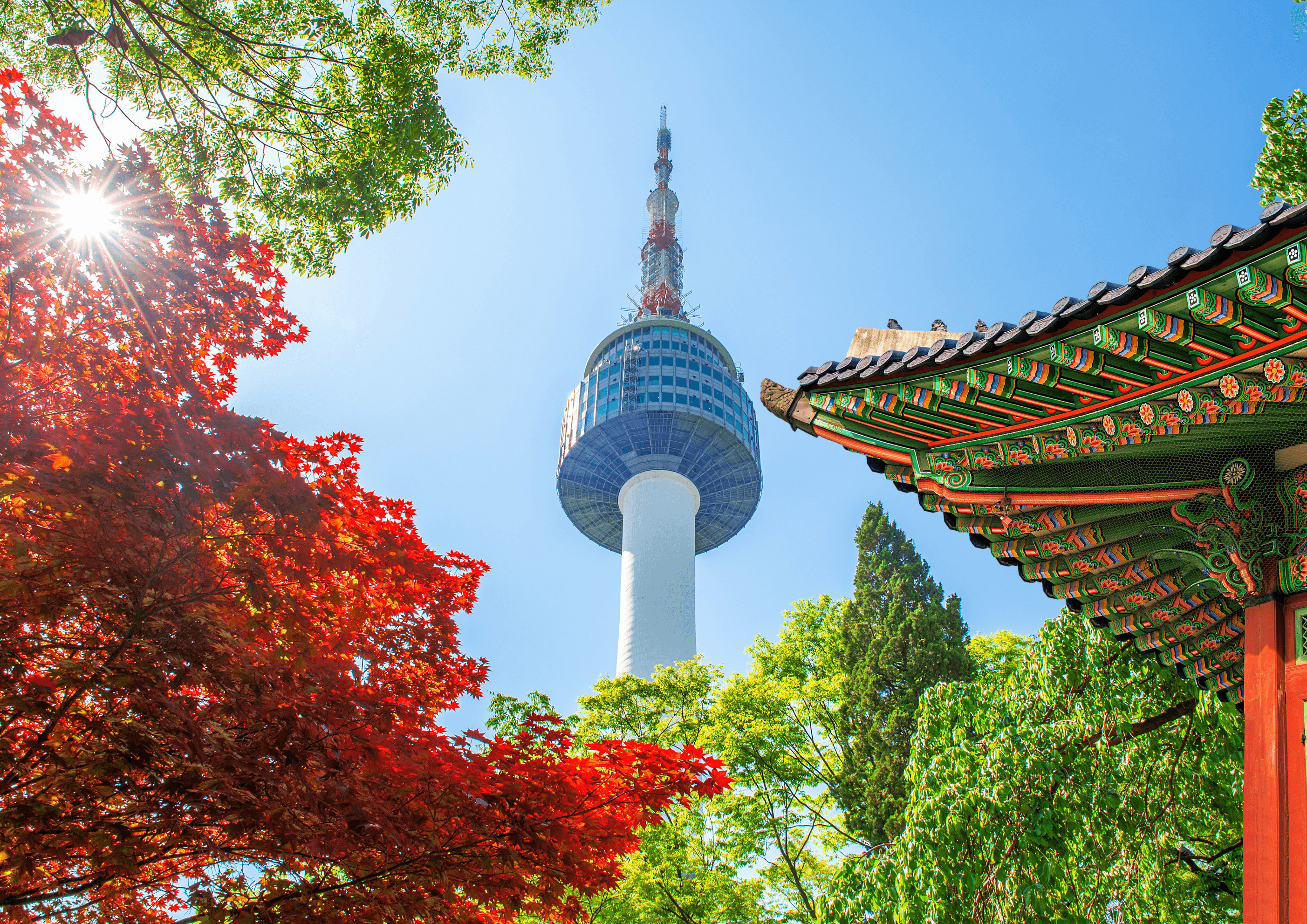 10-Day Japan, South Korea & North Korea - Image 7