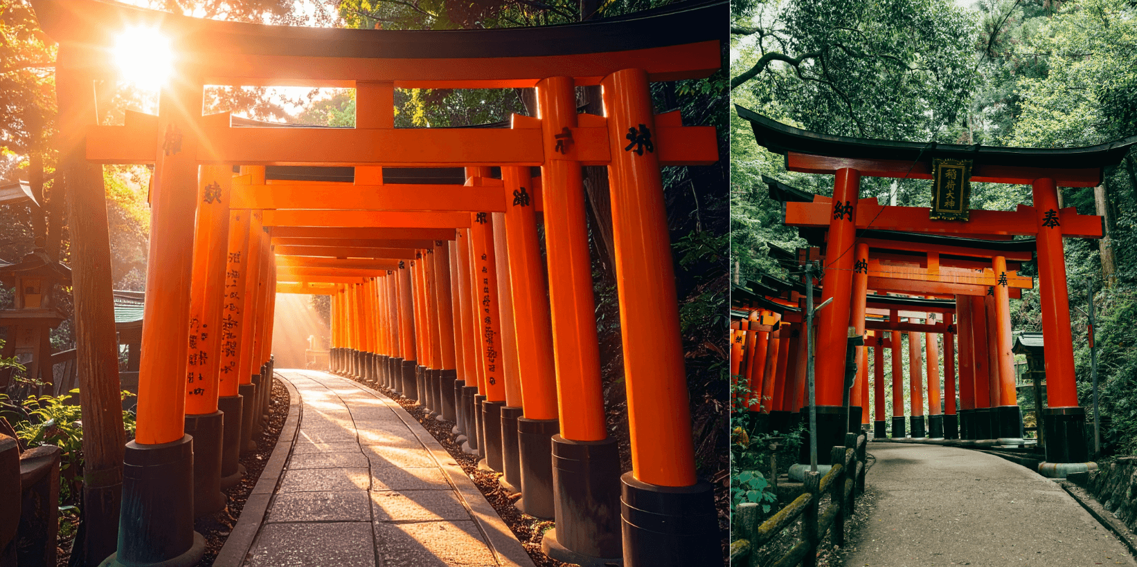 10-Day Japan, South Korea & North Korea - Image 5