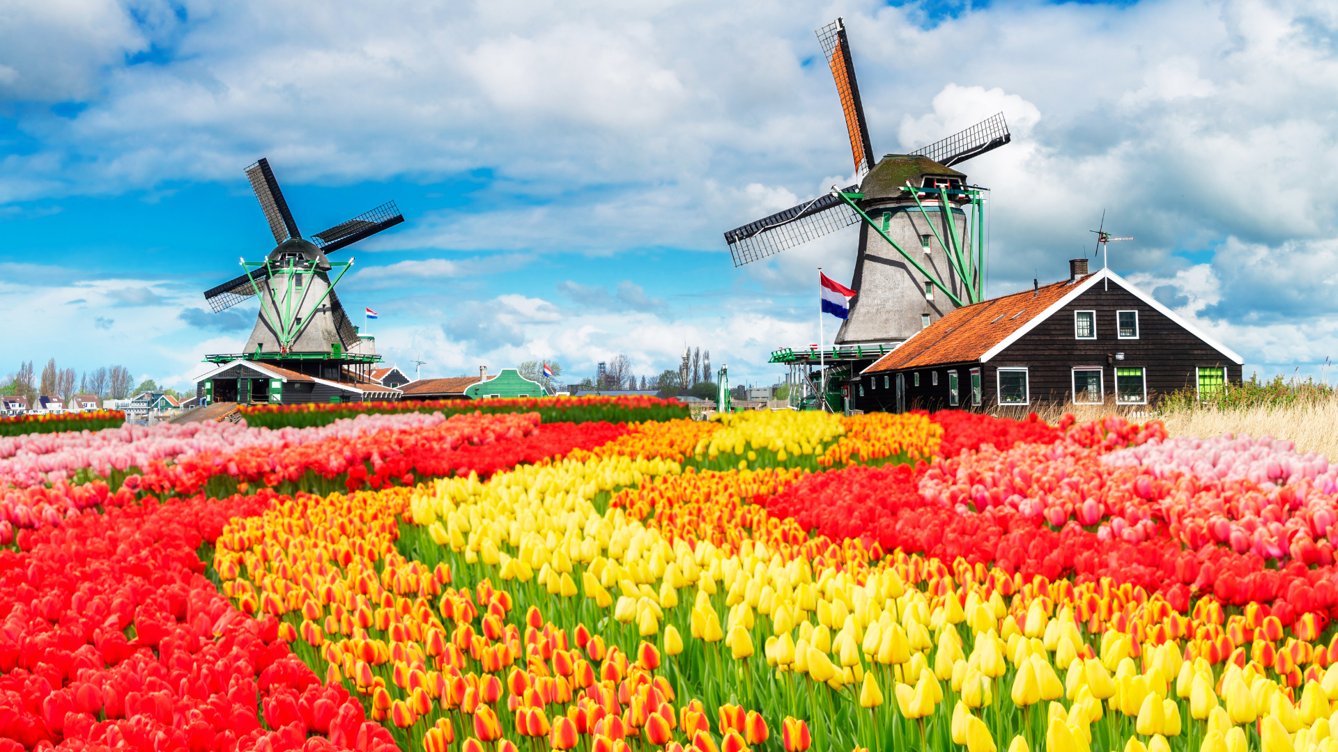 12-Day Europe Tour – France, Belgium, Netherlands, Germany, Switzerland, Austria, Liechtenstein & Italy – photo 8