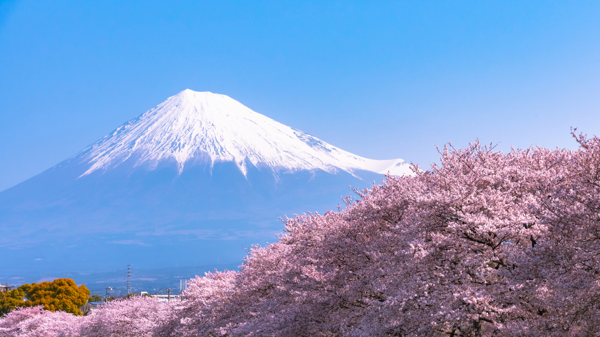 8-Day Ultimate Japan Experience 2026 – From Tokyo’s Modern Wonders to Hiroshima’s Historic Legacy – photo 3