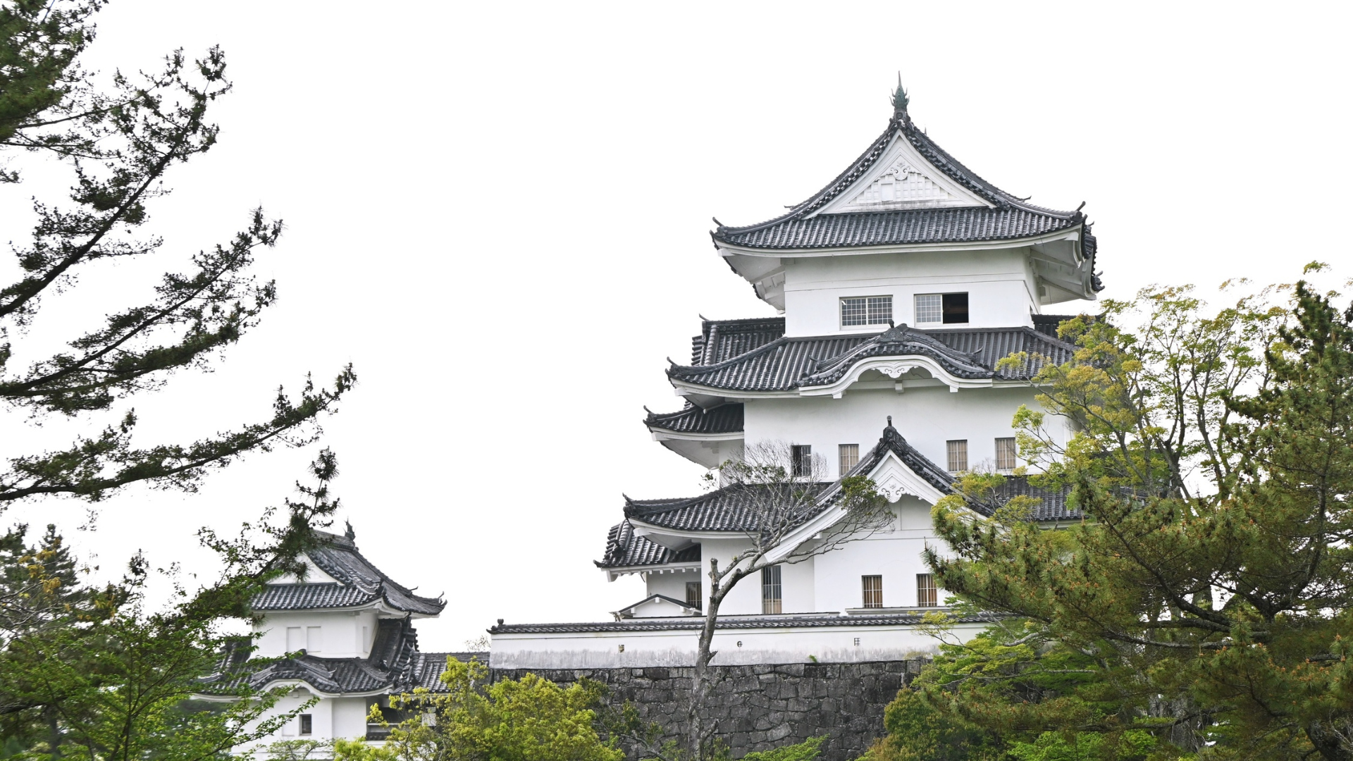 8-Day Ultimate Japan Experience 2026 – From Tokyo’s Modern Wonders to Hiroshima’s Historic Legacy – photo 4