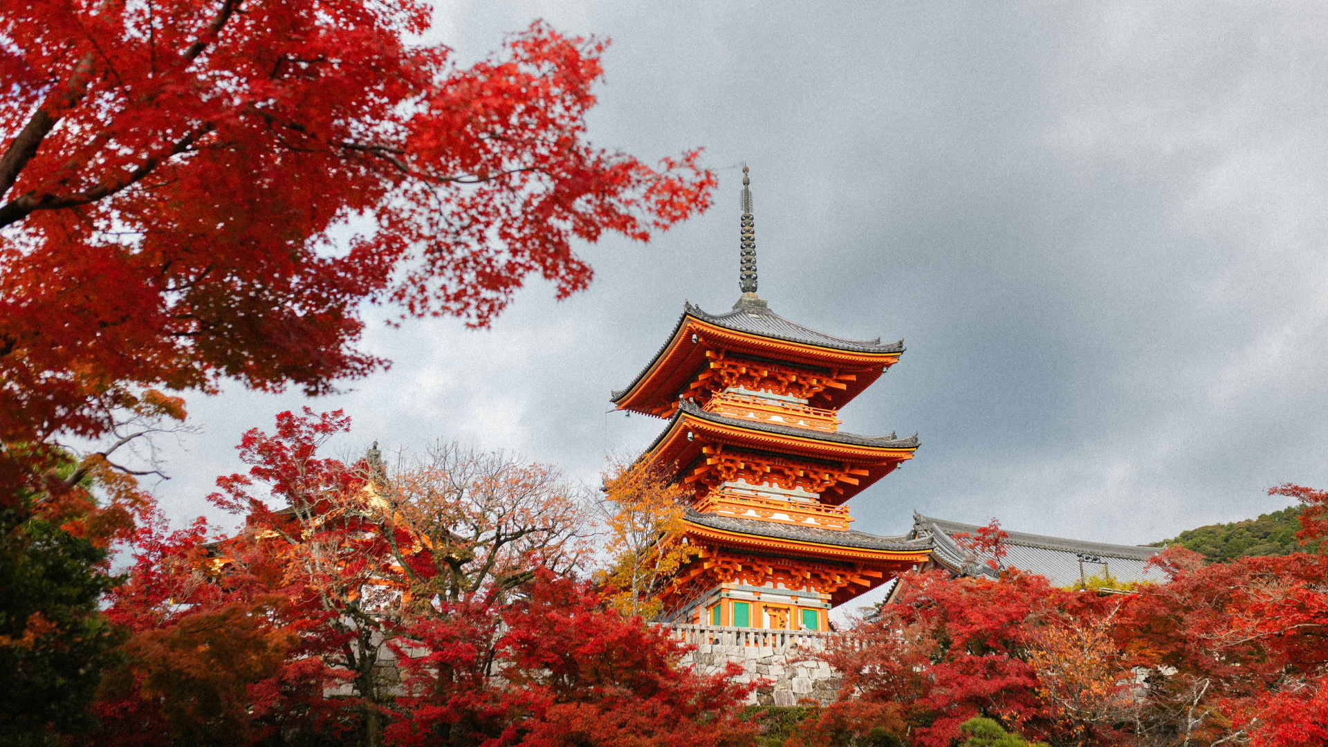 8-Day Ultimate Japan Experience 2026 – From Tokyo’s Modern Wonders to Hiroshima’s Historic Legacy – photo 5