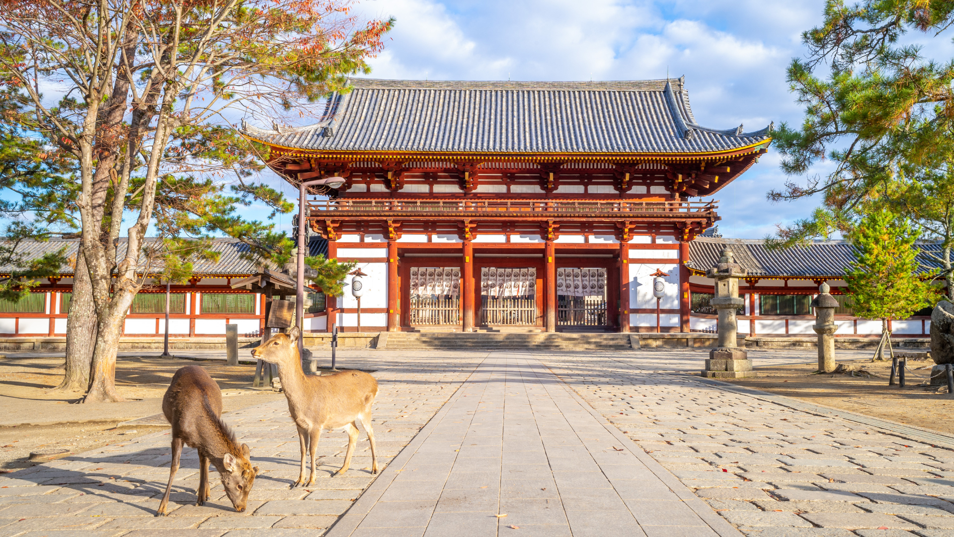 8-Day Ultimate Japan Experience 2026 – From Tokyo’s Modern Wonders to Hiroshima’s Historic Legacy – photo 7