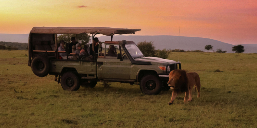 6-Day Kenya Safari – Nairobi, Masai Mara & Lake Naivasha group tour from Bangalore with Flying Passport