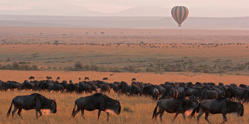6-Day Kenya Safari – Nairobi, Masai Mara & Lake Naivasha – photo 7