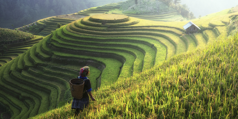 7 Days of Vietnam's Best Experiences Da Nang • Ba Na Hills • Hoi An • Hanoi • Ha Long Bay – photo 4