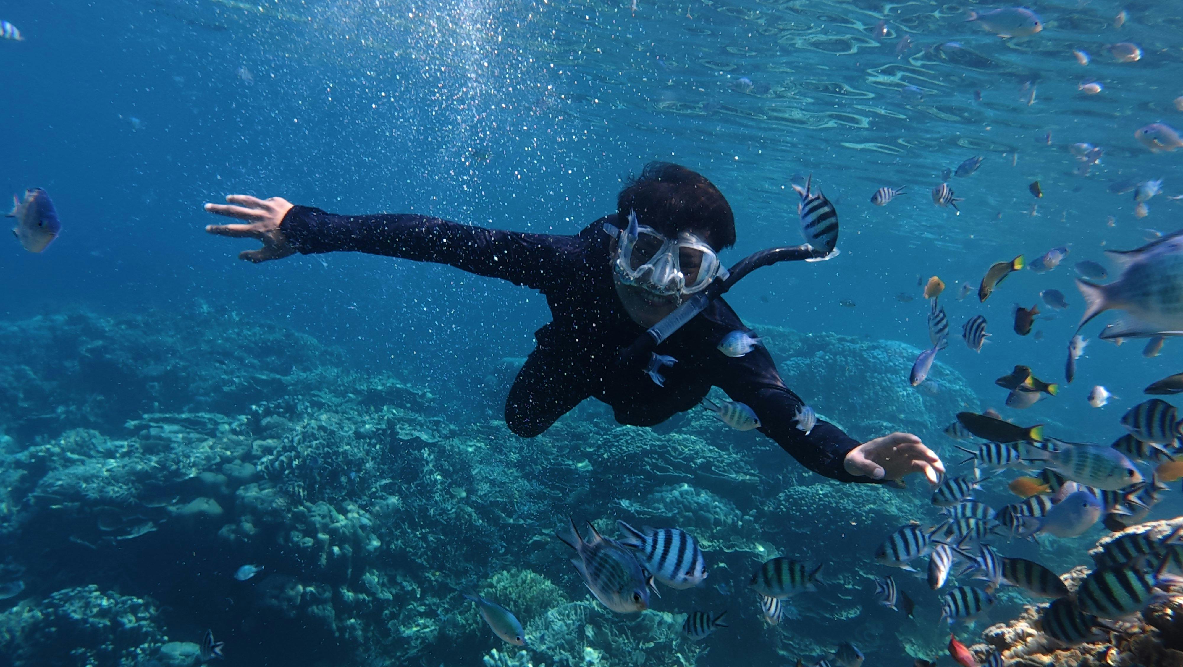 Maldives group tour from Bangalore Karnataka - 4-Day Maldives Tour 2026 – Shark Bay, Sunset Fishing & Island Escape from Bangalore with Flying Passport