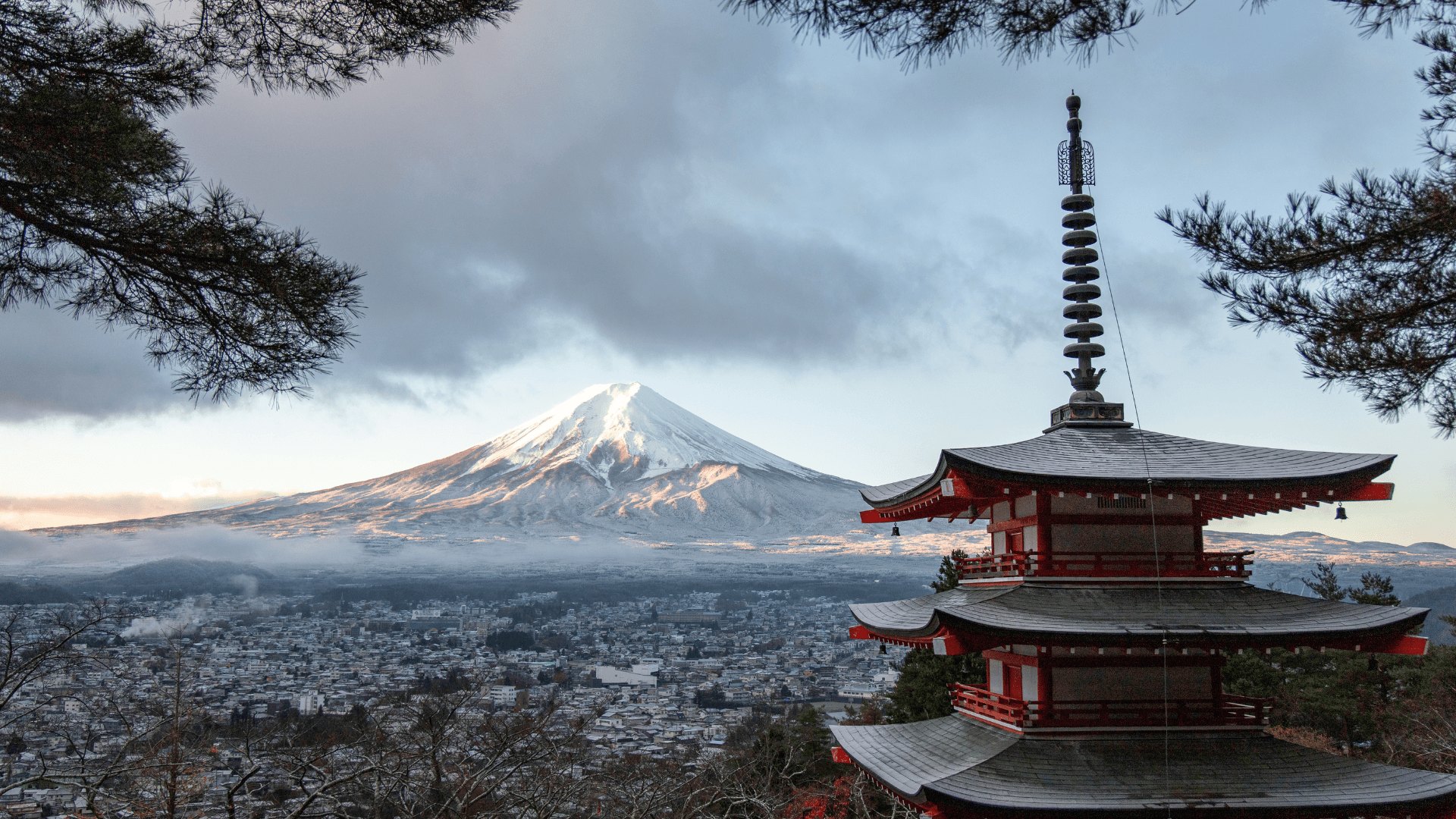 Japan group tour from Bangalore Karnataka - Japan Tour Package (8 Days) – Tokyo to Osaka with Kyoto & Hiroshima with Flying Passport